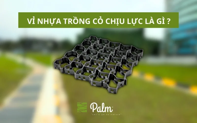 Vỉ Trồng Cỏ Chịu Lực | Tất Tần Tật Về Lợi Ích, Ứng Dụng Và Cách Lắp Đặt